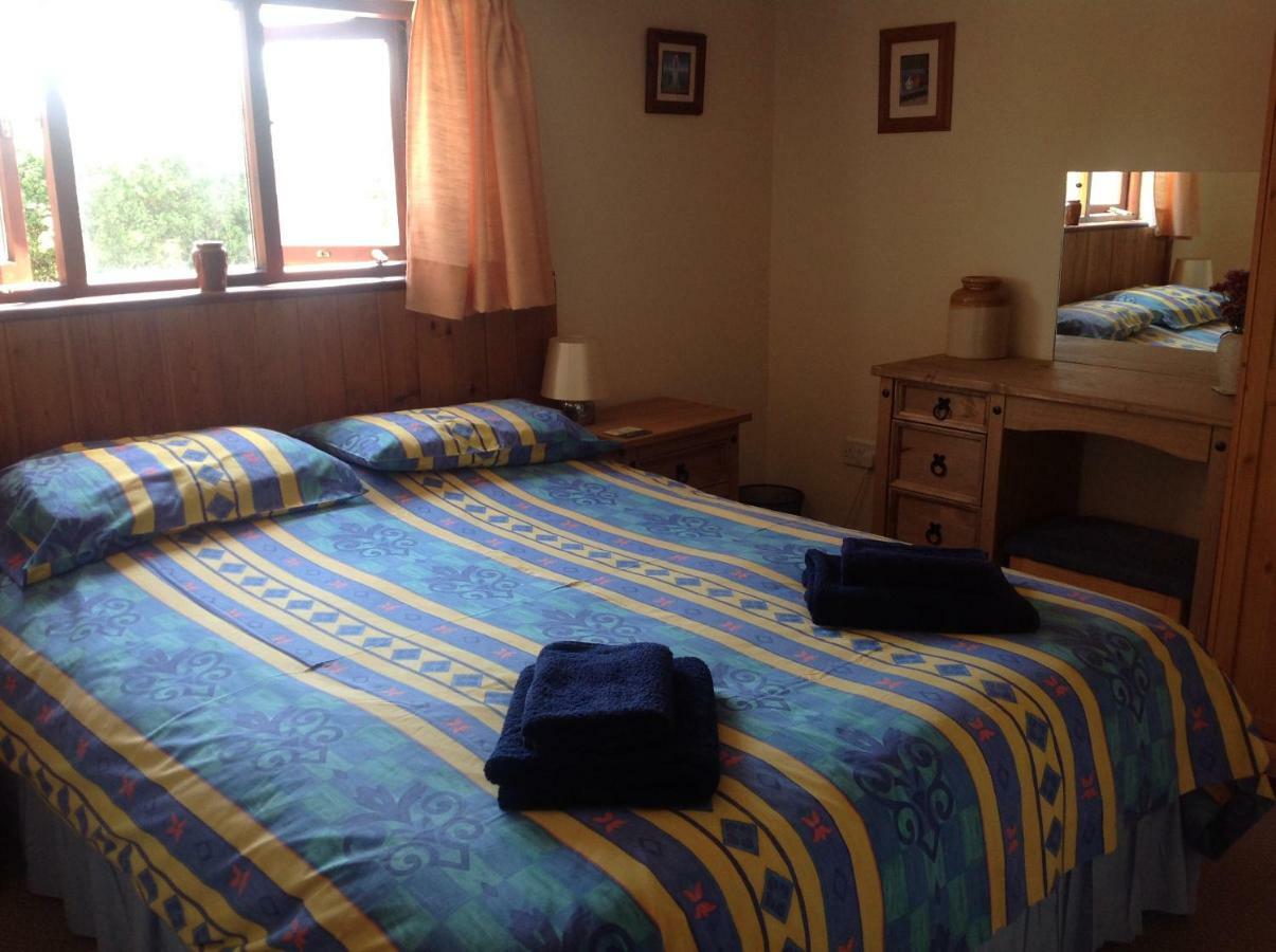 New Stable Apartment
